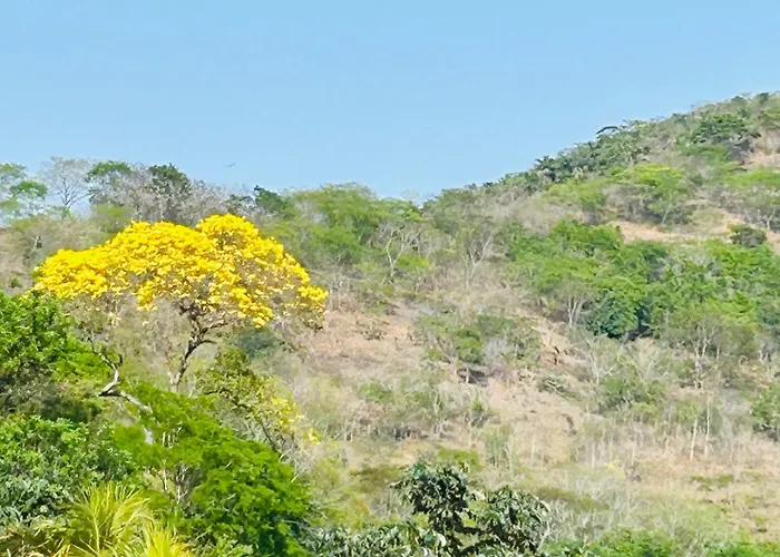 Pousada Casa Do Jova Em Raposo Rj
